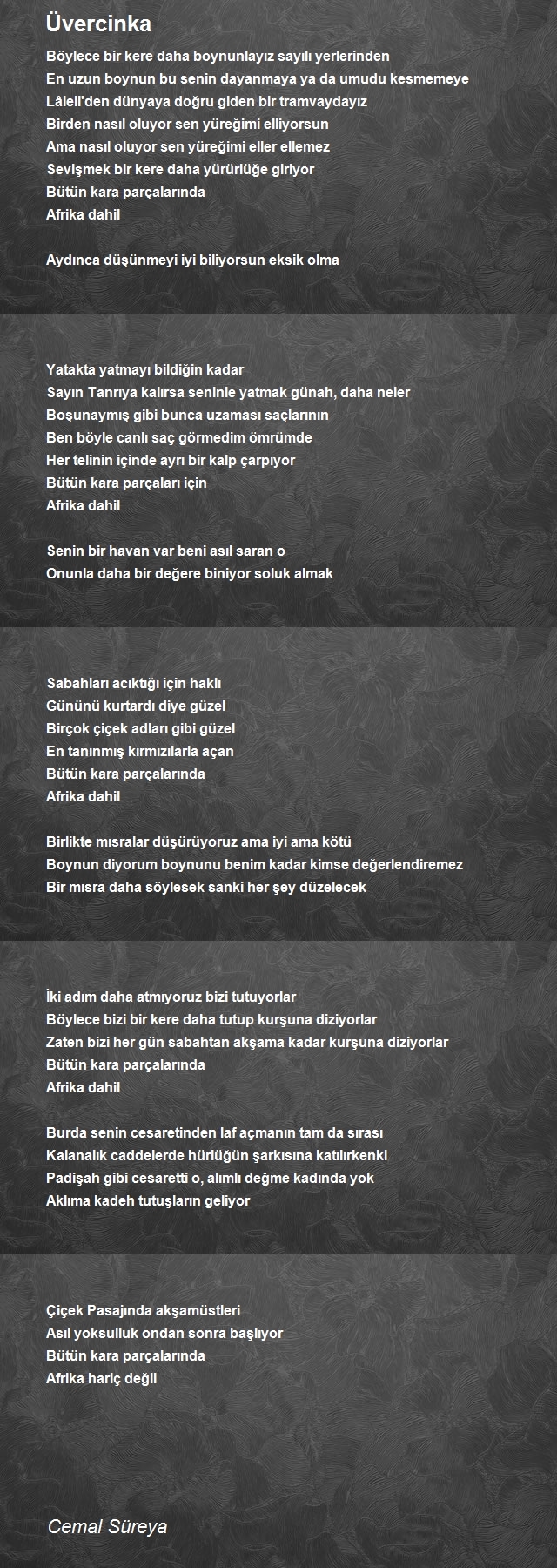 Üvercinka Şiiri