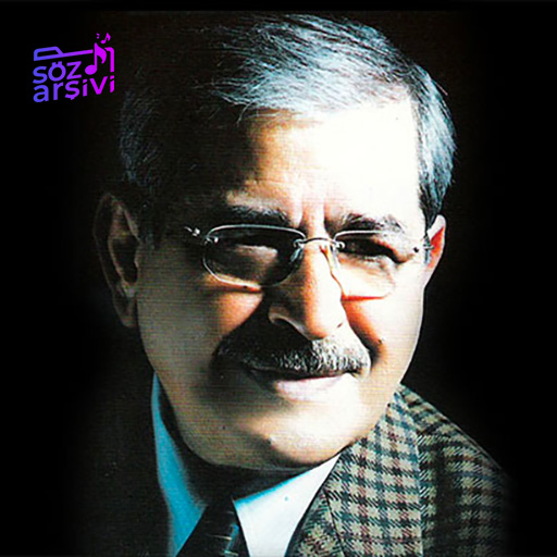 Aramıyorsun